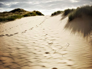 Cloudy start with possible sunny spells