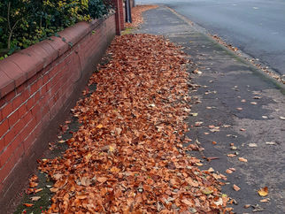 Feeling mild with a breeze