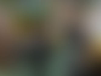 Formby councillor brings together police and residents to discuss anti-social behaviour