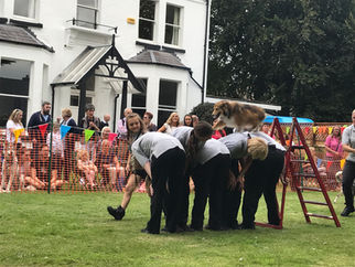 Village Vets dog show a hugh success for seventh year running