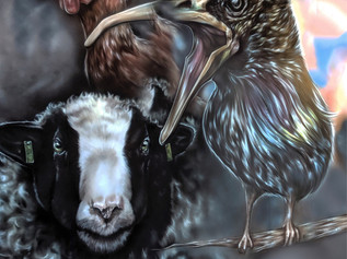 Freshfields Animal Rescue invite you to see their rescued animals as you've never seen them befo