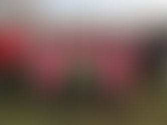 Formby Junior Sports Club are top of the Premier League in the U18 Division of the West Lancashire G