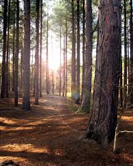 Sunny start with cloudy intervals later on