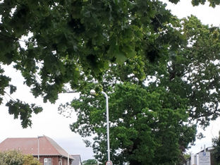 Cloudy day remaining dry