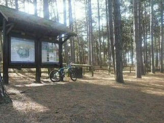 Dry start with rain to follow