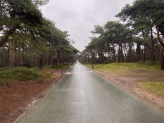 Overcast and raining