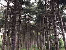 Good morning on Monday 11th April. Dry and fine day with a breeze in Formby
