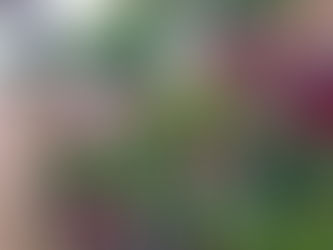 Wet start with the chance of sunshine later on