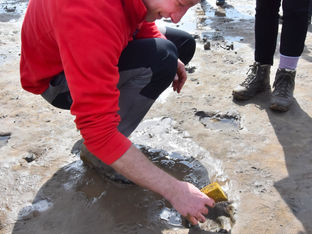 Stone Age Footprints Discovery Walk