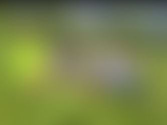 Frank’s Report from Formby Junior Sports Club