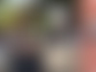 Bill Esterson MP praises “brilliant” 8 Alleyways Project and encourages public to show support