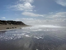 Fine and dry with sunny spells