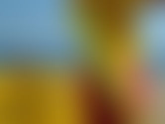 Charity predicts busy period as RNLI lifeguards prepare for a summer of ‘Staycation'