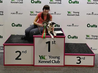 Formby High School pupil and her Border Collie win 1st place at Crufts