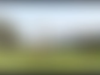 Sunshine and blue skies