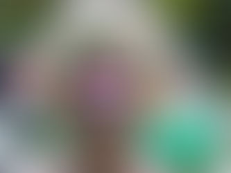 Hospice summer garden party is back