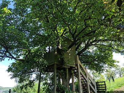 treehousesummer (5).jpg