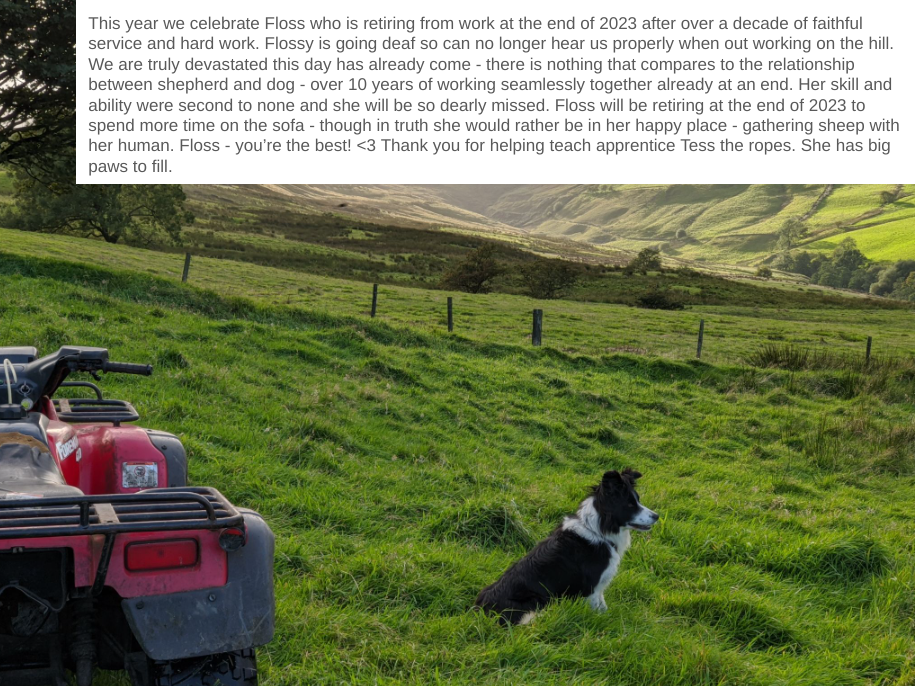 Thumbnail: Tribute to retiring sheepdog Floss from Cronkshaw Fold Farm