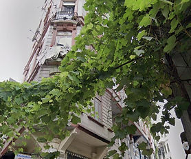 Beyoğlu'nda Yedi Katı Tarih Kokan Satılık Bina