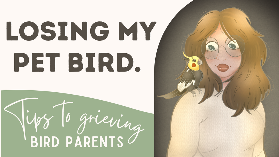 YouTube Banner - Finding peace after losing a pet.png