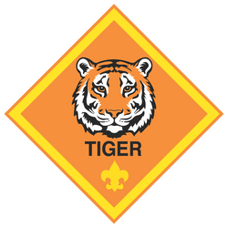 TIGER ACTIVITIES