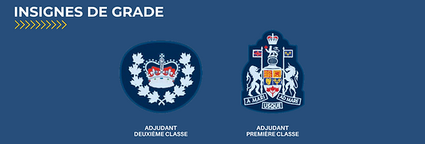 Insignes de grade Cadets de l'air 2.png