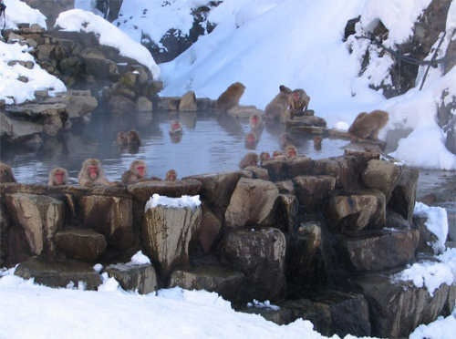 PARQUE DE LOS MONOS