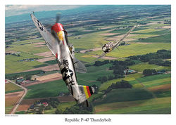 Republic P-47 Thunderbolt