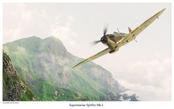 Supermarine Spitfire Mk.1 