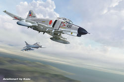 F- 4EJ Phantom II 