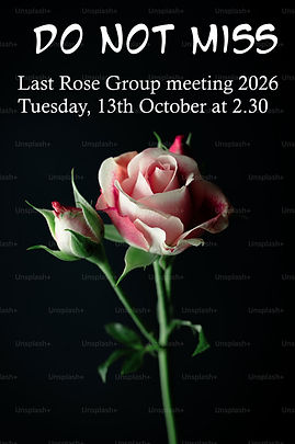 Last rose grp meet 2026.jpg