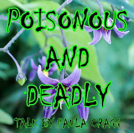 poisonous and deadly slide for PP.jpg