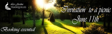 Invitation picnic.jpg