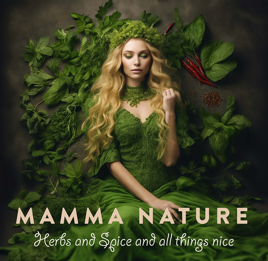 240416 -LR Logo-Mamma nature -key image.jpg