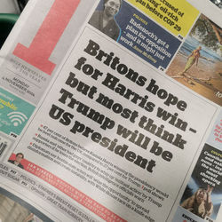 INDEPENDENT SEEDS EXPECTED VIOLENCE