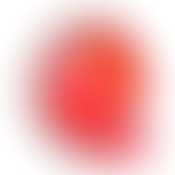 RED LIGHT SHOPPING IN 2026