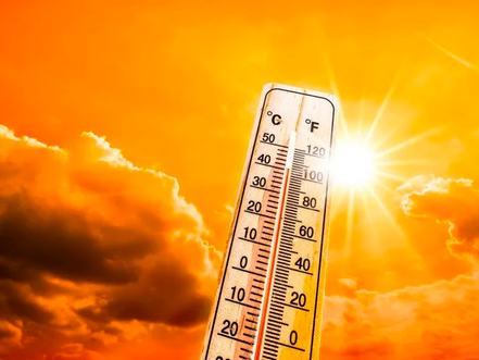CLIMATE DEATHS OR VACCINE DEATHS?