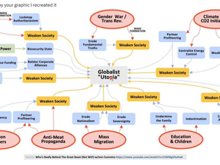 IVOR CUMMINS ANALYSIS EPSTEIN FILES RE: PANDEMIC SCAM