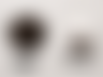 Loose Leaf vs Bagged Black Tea: Which is Best