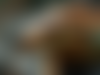 Are Dragons an Elf's Best Friend? And Should You Offer Them Biscuits Or Ice Cream?