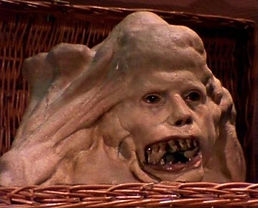 WhatsApp Image 2025-01-04 at 02.30.18_9d0f3ab9.jpg