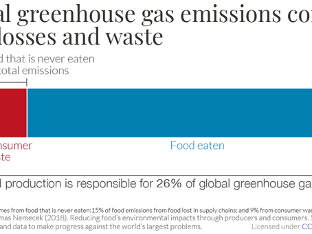 Biodiversity loss (VI). We waste too much food