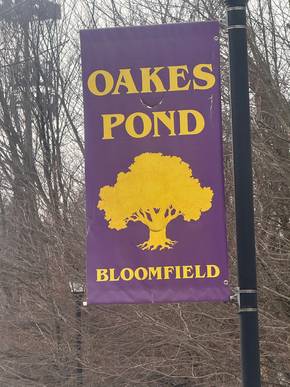 Bringing Shine Back to Oak Pond – Bloomfield, NJ