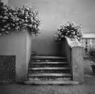 Velvet, La Foce, Italy 2024 - 15x15 + 26x26 photograph on aluminum from negative