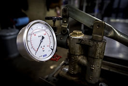 _81A7255.jpg