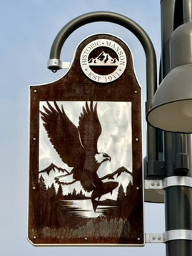 Panel 11 - Majestic Manson | An Eagle's View of Home