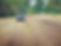 forestry mulching new.jpg