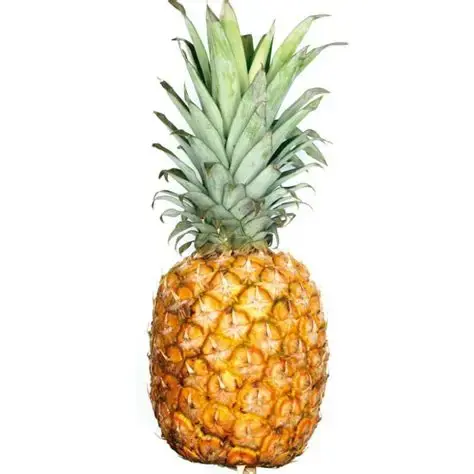 ANANAS MD2