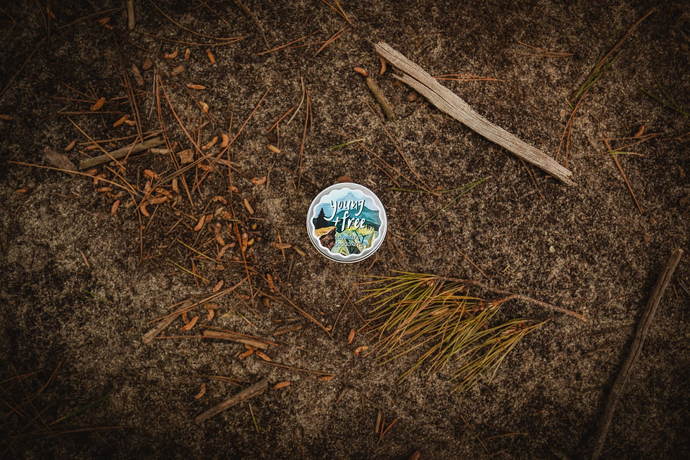 y_f_163-adventure logo.jpg