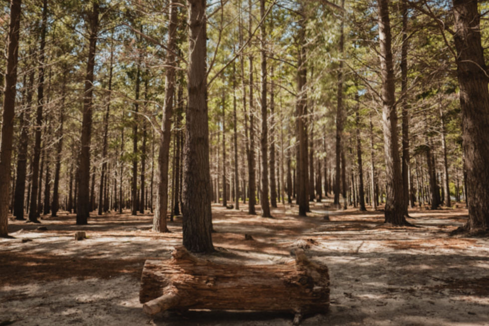 y_f_162 background.jpg